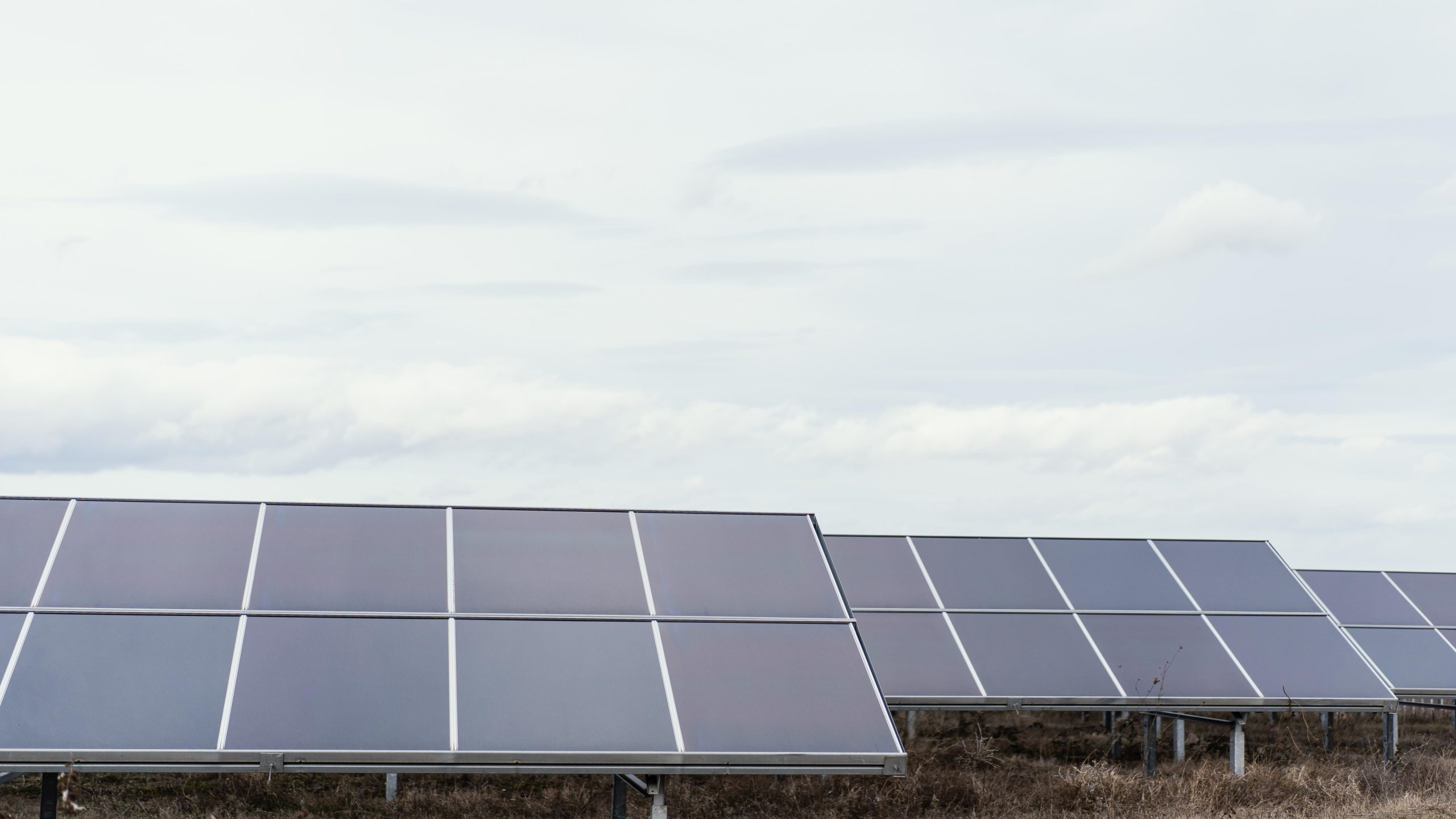 Paneles fotovoltaicos, el futuro de la energía solar